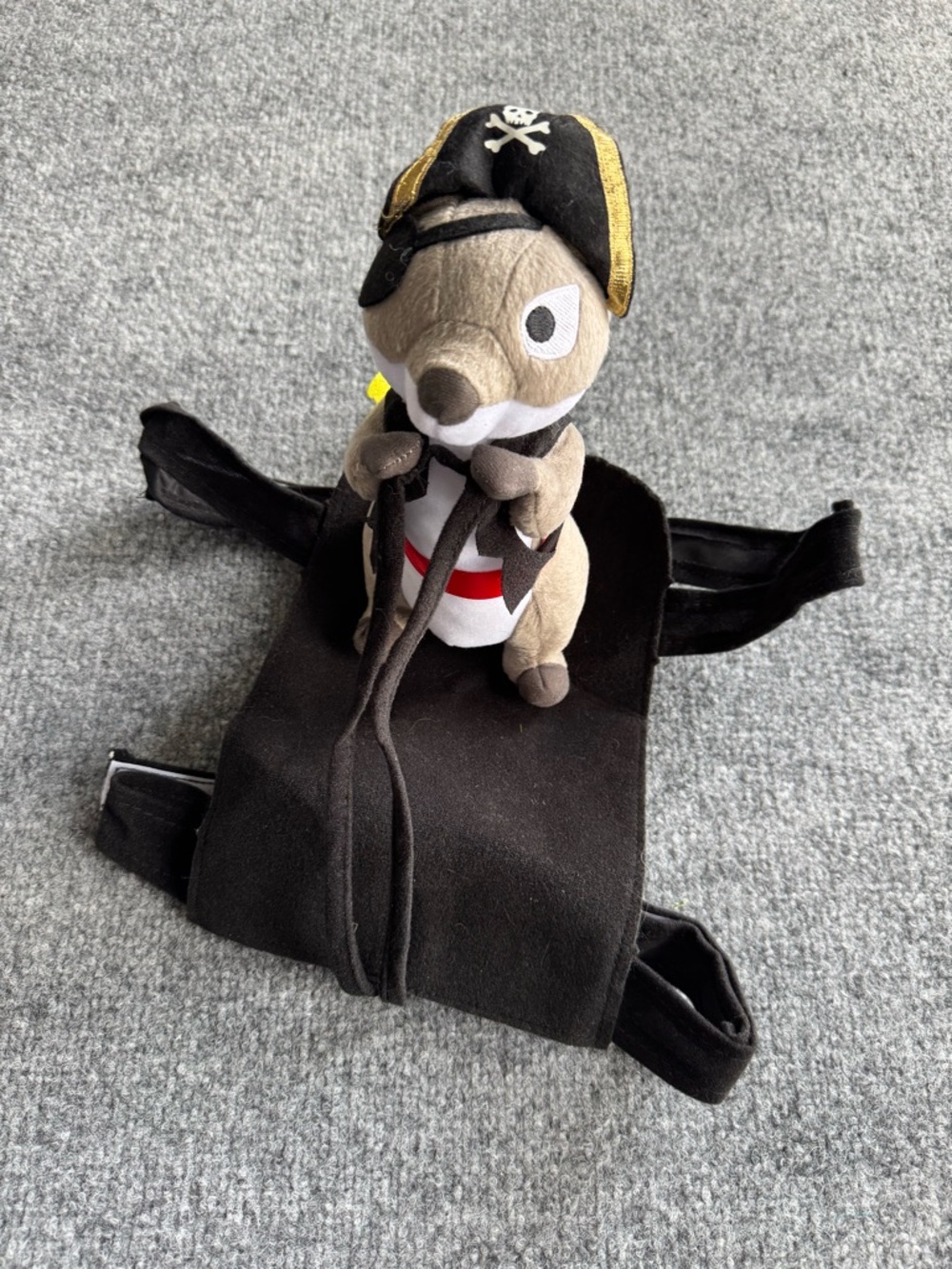 Pirate Squirrel Halloween DOG Costume size medium / large